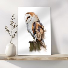 Barn Owl Canvas Wall Art Print
