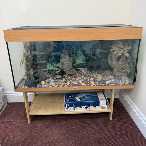 Glass rectangular fish - rectangular,