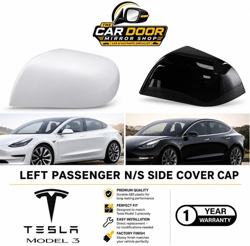 Fit tesla model - tesla,