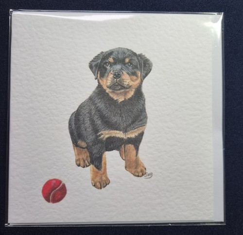 Rottweiler puppy greetings - ,