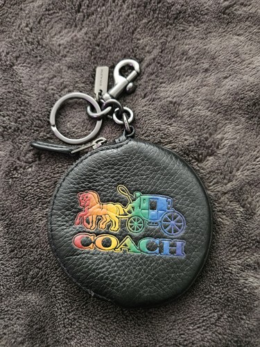 Coach horse and carriage - coach,