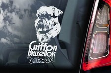 Griffon Bruxellois Dog