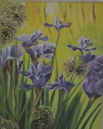 Original iris flower - original,