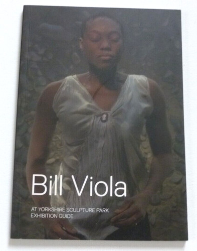 Bill viola yorkshire sculpture - bill,