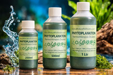 Live Marine Phytoplankton 2L