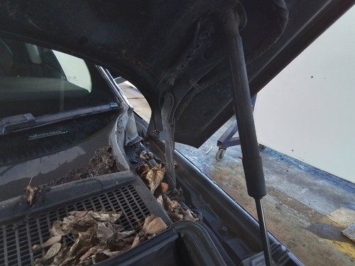 Bonnet hinge skoda superb - bonnet,