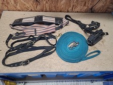 Lunging Joblot,Pony Size