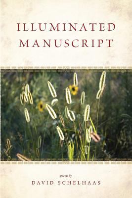 Illuminated manuscript - illuminated, by