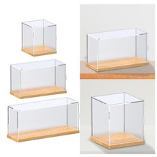 Acrylic Clear Collectibles Toy