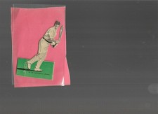 A Rare Magnet Stand Up Cricketer Card No6.