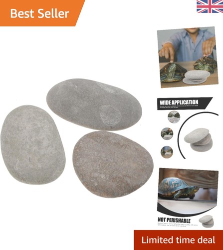 Non toxic turtle basking - non-toxic,