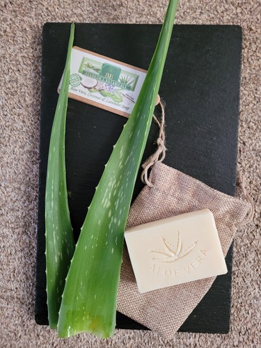 Organic aloe vera coconut - aloe,