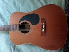 Vantage Acoustic Guitar