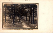 Bicycle Path Tawas Beach 1906