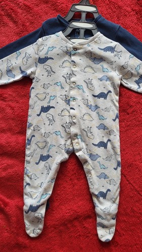 Baby boys dinosaurs - baby,