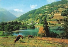 41 CHAMBON SUR CISSE L SUMMERE