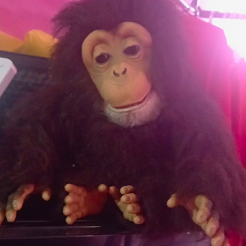 Hasbro monkey soft toy - hasbro,