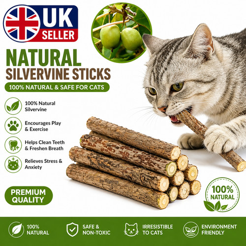 Natural silvervine cat - 20,