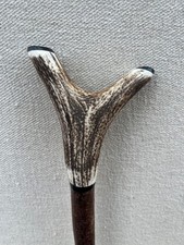 Red Deer Antler Walking Hazel