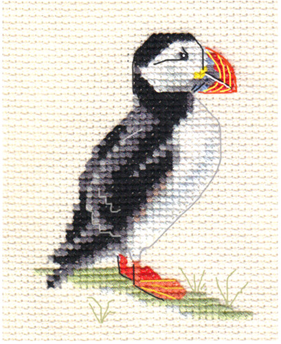 Puffin bird full - full, counted