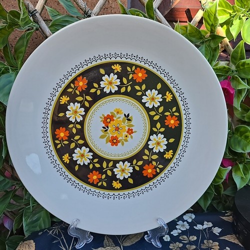 Vintage 1970 ridgway ironstone - vintage,