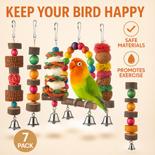 Bird Toys for Parakeets