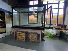 Museum display case - Victorian.  Refurbished by seller