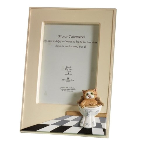 Comic curious cats frame - curious,