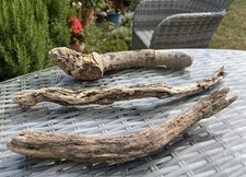 3 31-38cm DRIFTWOOD BRANCH Sea