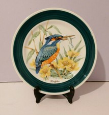 Duraling Dudson KINGFISHER