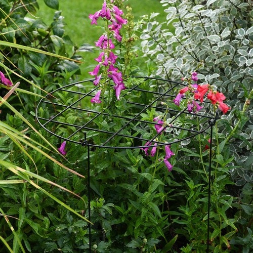 Garden plant support round - plant,