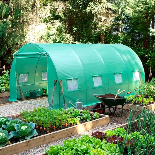 Polytunnel greenhouse poly - polytunnel,
