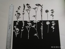 PACK OF 28 SIZZIX DIE CUT WILD