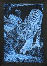 Animals 6 Framed Wall Art