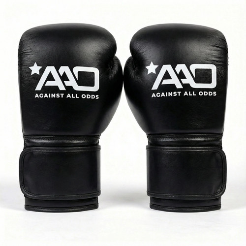 Aao performance boxing - performance,