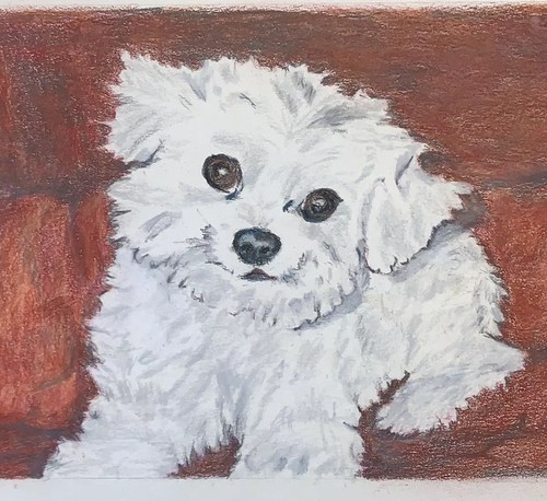 Vtg original white dog pastel - vtg,