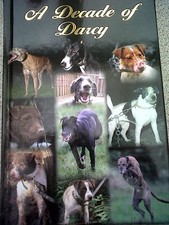 A Decade Of Darcy