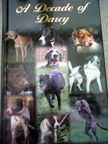 Decade darcy - a, of