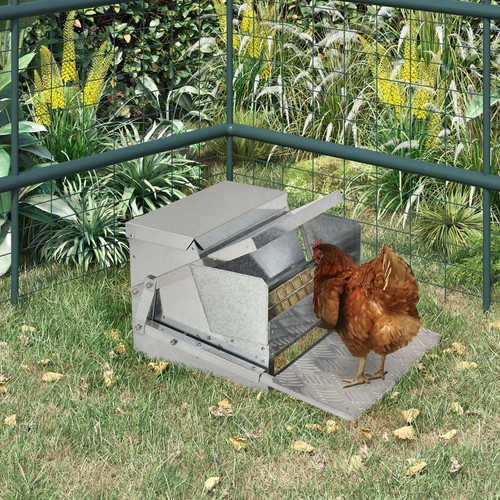 5kg automatic chicken - 11.5kg,