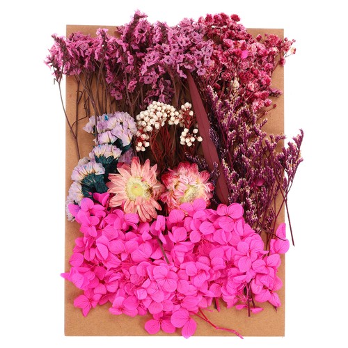 Pressed flowers bulk dried - flowers,