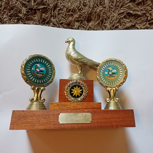 Pigeon racing trophy - pigeon,