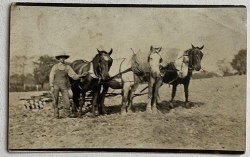 Rppc postcard farmer - in, field
