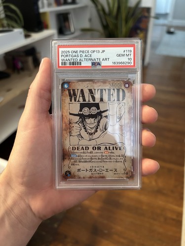 2025 one piece portgas - one, ace