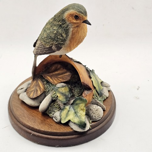 Border fine arts robin - border,