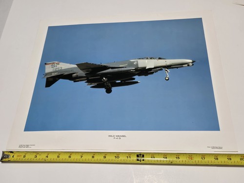 Wild weasel g - wild, f-4