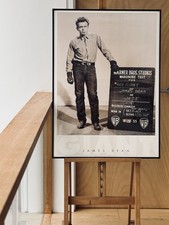 Framed Warner Brothers James