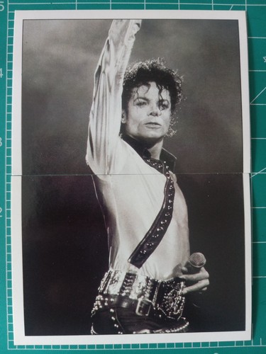 1995 panini smash hits - smash, michael