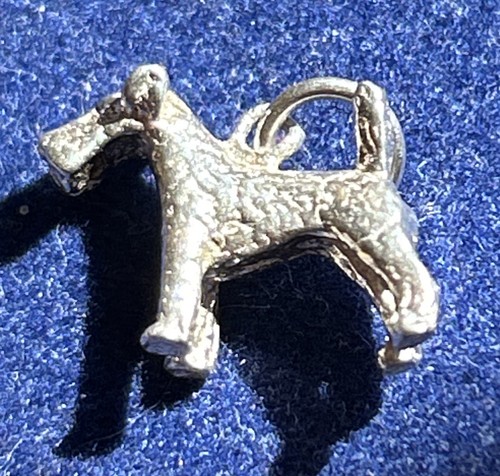 Silver airedale terrier dog - airedale,