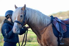 Official Libby's Grass Reins