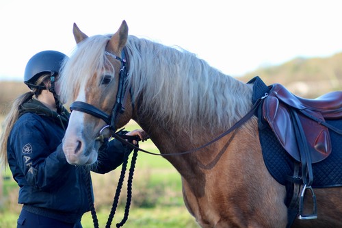 Official libby grass reins - libby's,